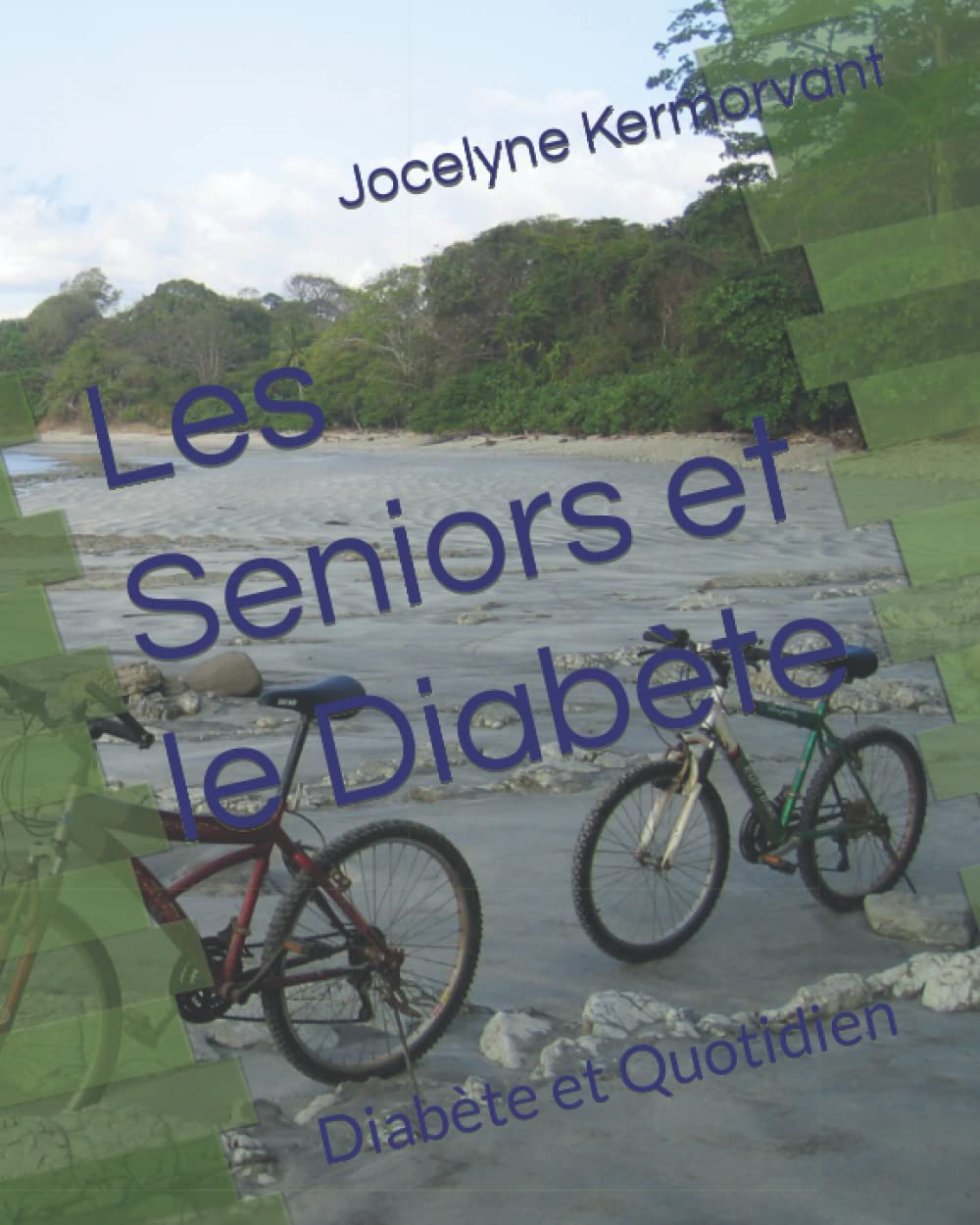 Les Seniors et le Diabète: Diabète et Quotidien book