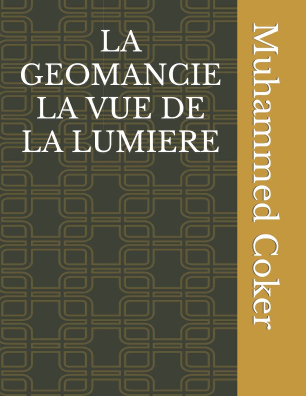 LA GEOMANCIE LA VUE DE LA LUMIERE book