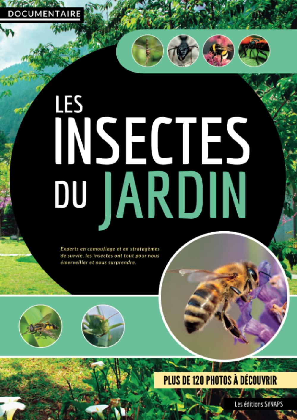 Documentaire - Les insectes du jardin: Mieux comprendre leur utilité, leur mode de vie et préserver la biodiversité - Un monde fascinant à découvrir Mathematics