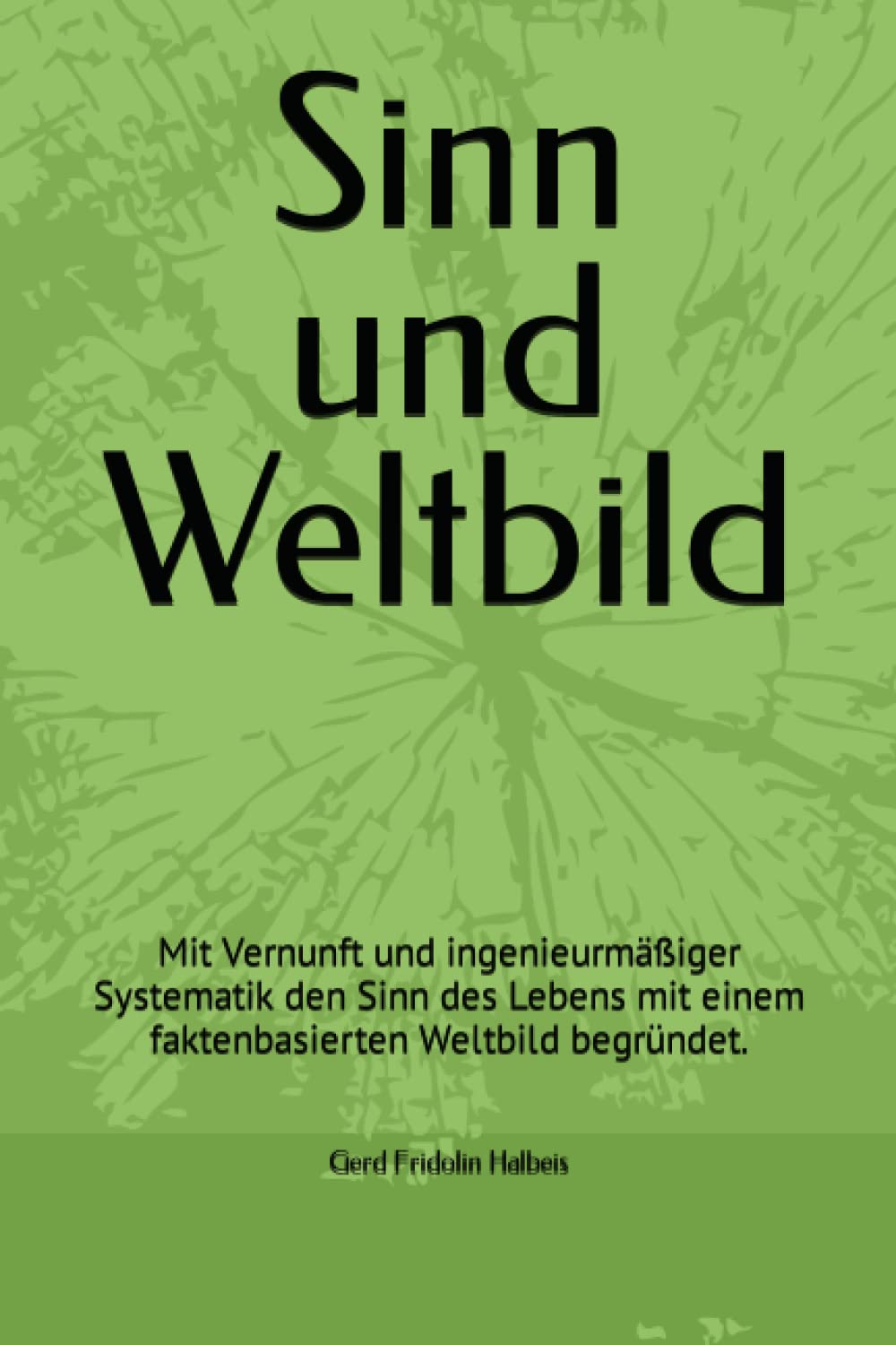 Sinn und Weltbild: Mit Vernunft und ingenieurmäßiger Systematik den Sinn des Lebens mit einem faktenbasierten Weltbild begründet. Philosophy