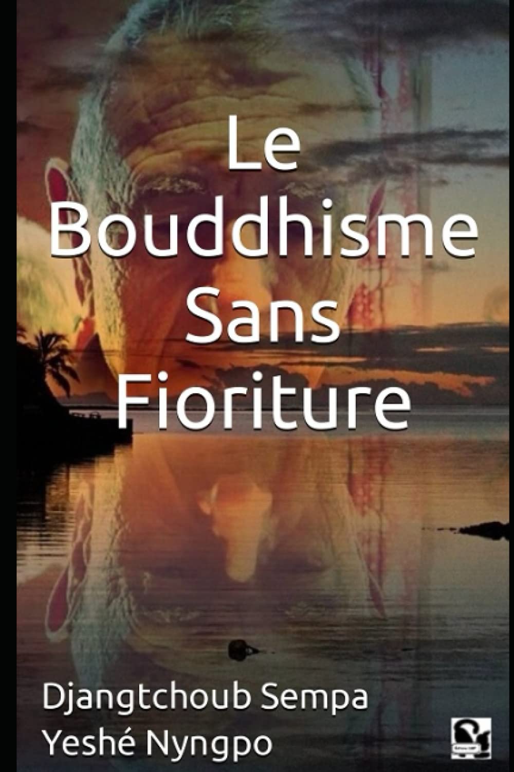Le Bouddhisme Sans Fioriture book