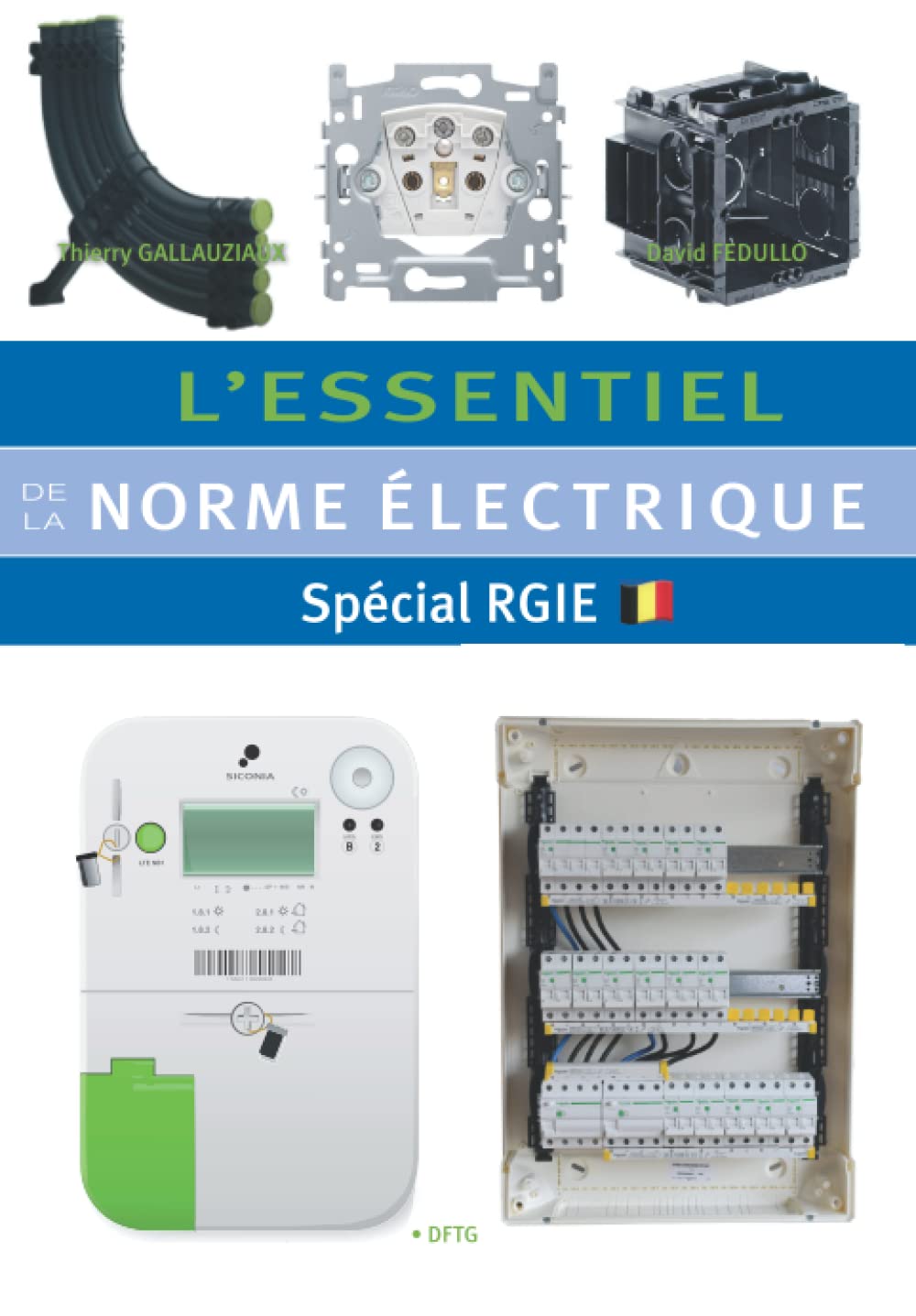 L’essentiel de la norme électrique: Spécial RGIE book