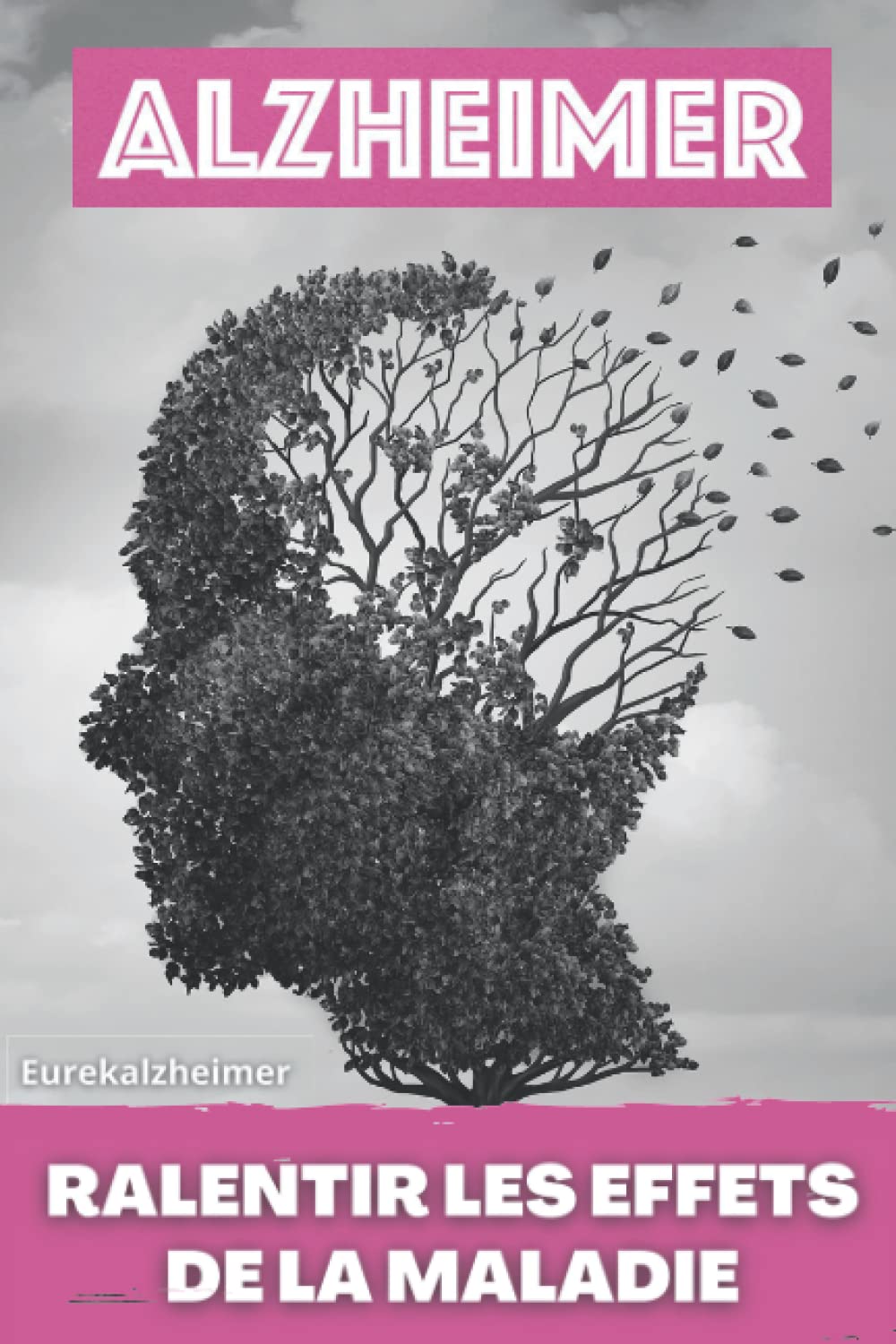 Alzheimer : Ralentir les effets de la maladie: Livre sur la maladie d'Alzheimer, Connaitre mieux cette pathologie et savoir comment ralentir le développement de cette maladie.. Health, Nutrition & Fitness