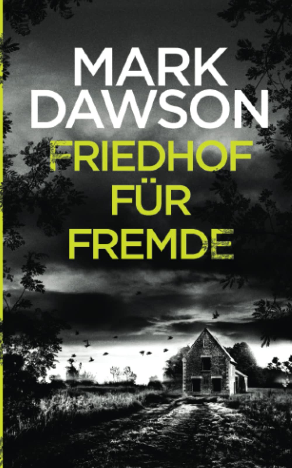 Friedhof für Fremde (Atticus Priest, Band 2) Detective & CSI