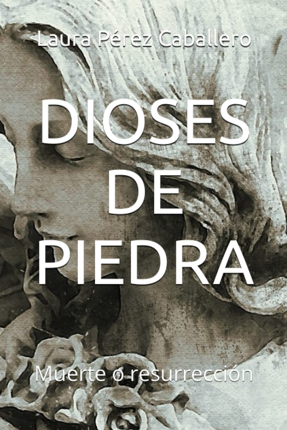 DIOSES DE PIEDRA: Muerte o resurrección book