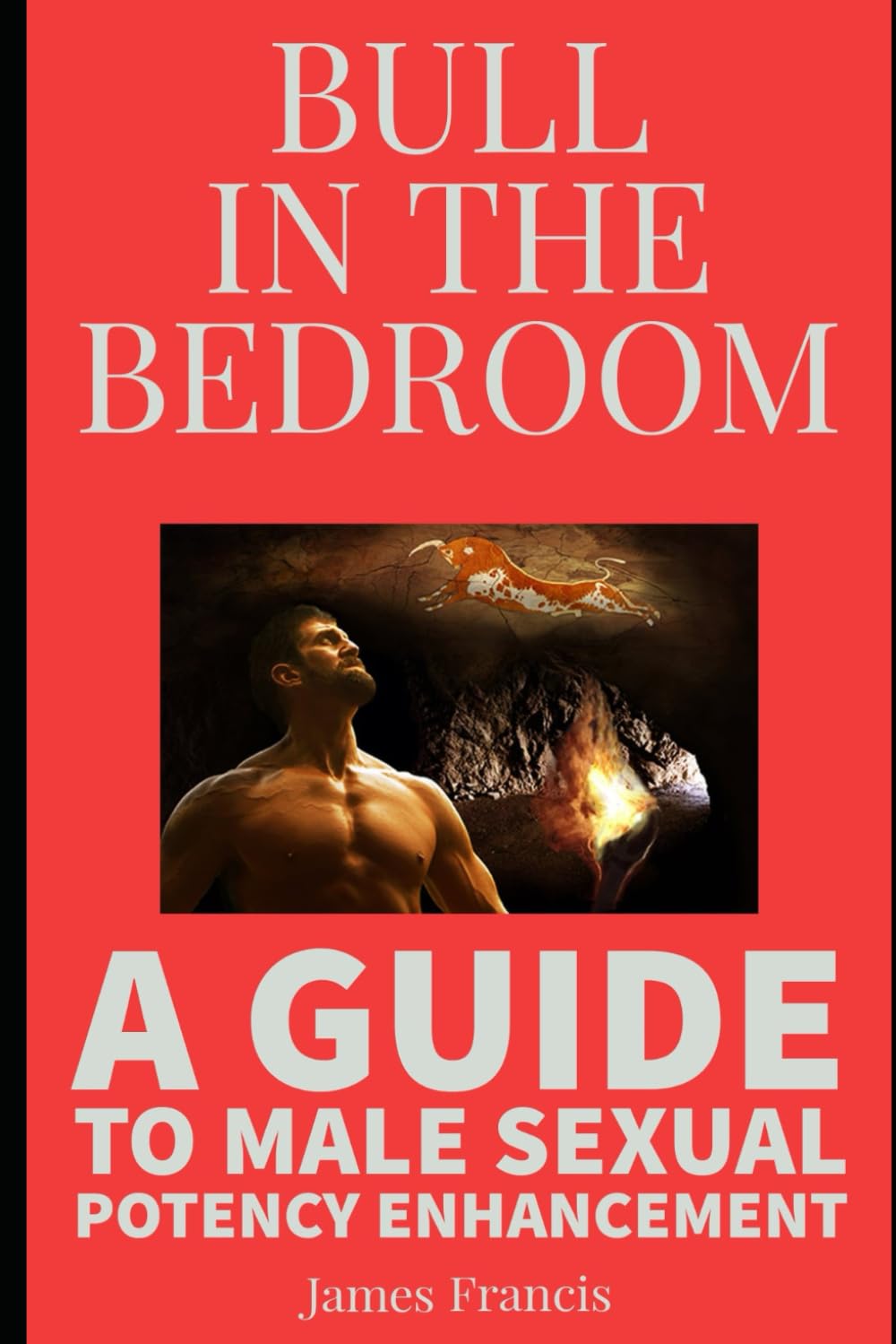 BULL IN THE BEDROOM: A GUIDE TO MALE SEXUAL POTENCY ENHANCEMENT Partnership & Love