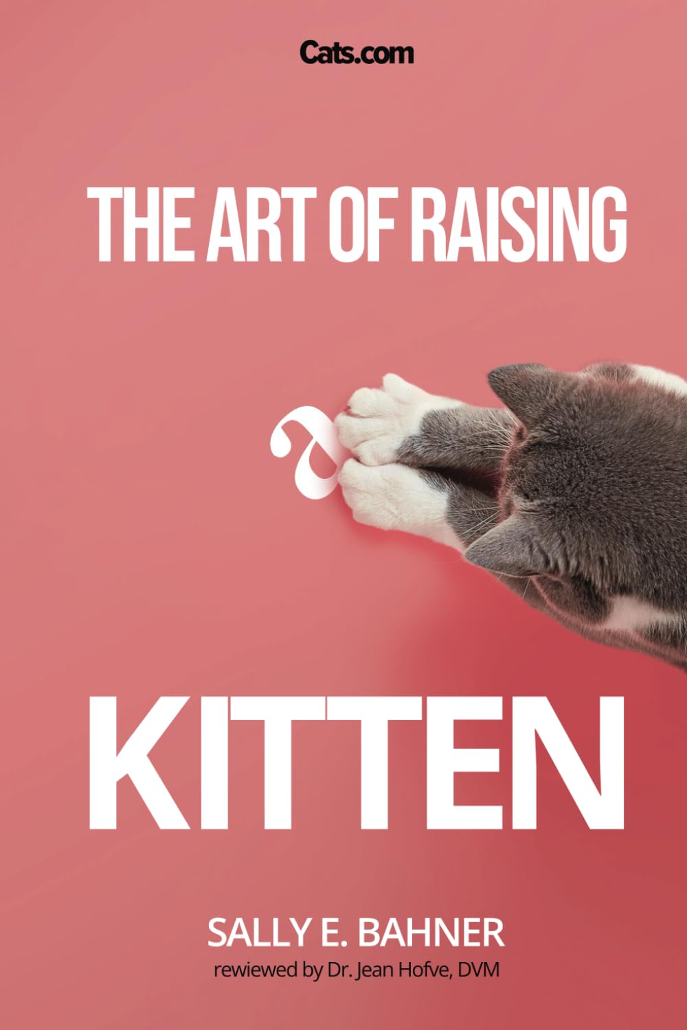 The Art of Raising a Kitten Pets