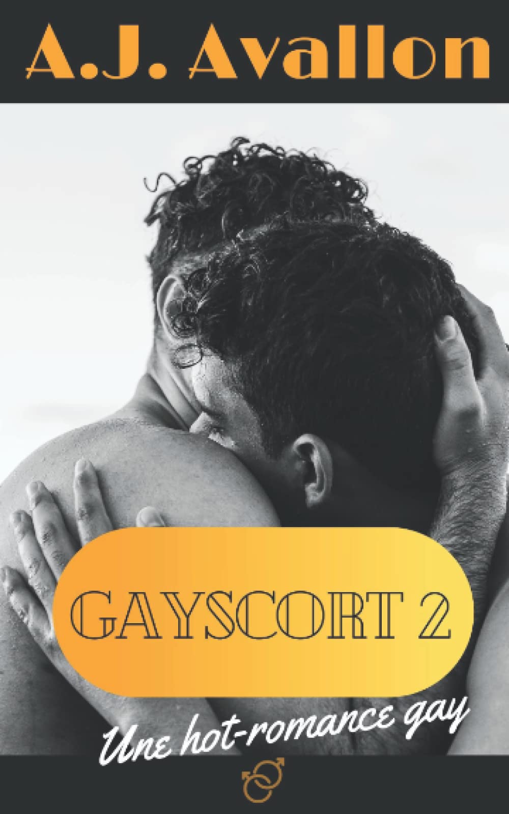 Gayscort (tome 2) Une hot romance gay MM book