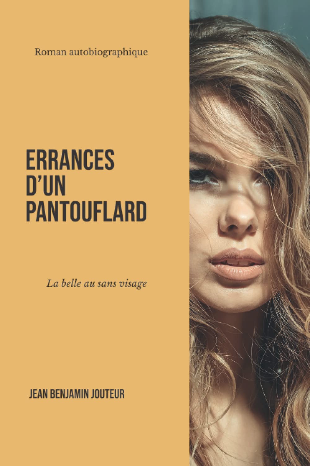 Errances d'un pantouflard - Tome 3: La belle au sans visage book