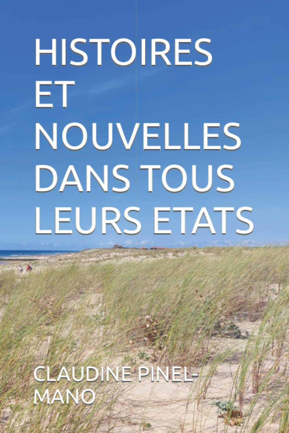 HISTOIRES ET NOUVELLES DANS TOUS LEURS ETATS book