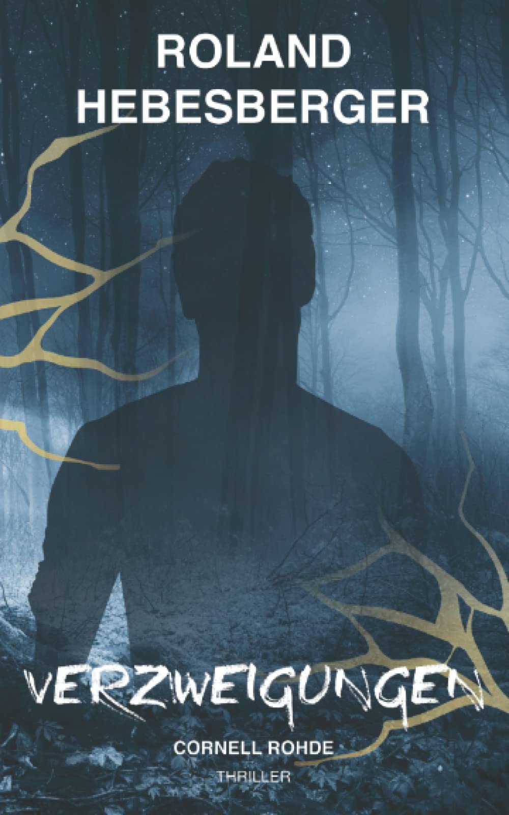 Verzweigungen: Cornell Rohde (Die-Divinus-Saga: Ein Thriller-Buchuniversum, Band 8) Action & Adventure