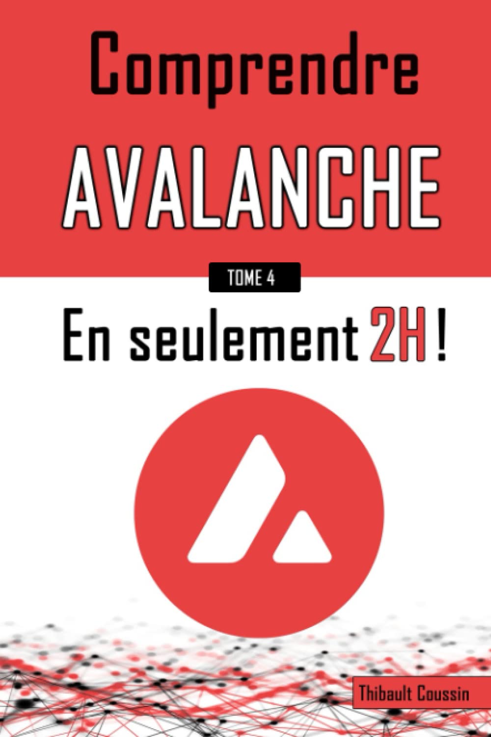 Comprendre Avalanche en seulement 2h !: (édition Premium en couleur) (Comprendre en 2h !, Band 4) Business & Technology