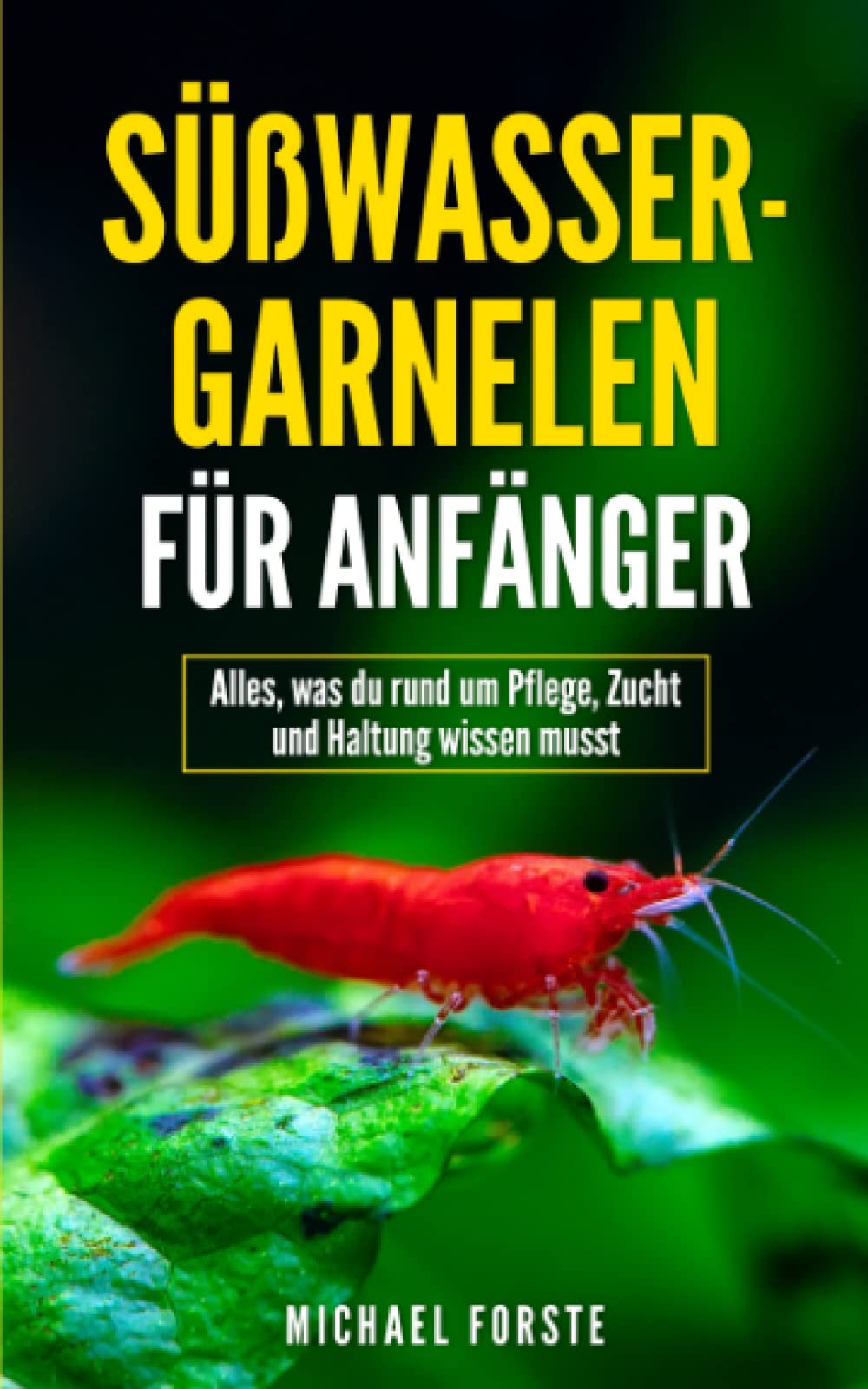 Süßwasser-Garnelen für Anfänger: Alles, was du rund um Pflege, Zucht und Haltung wissen musst Mathematics