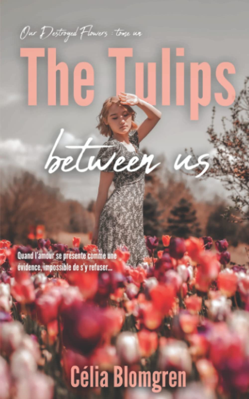 The Tulips Between Us (Our Destroyed Flowers, Band 1) Eroticism