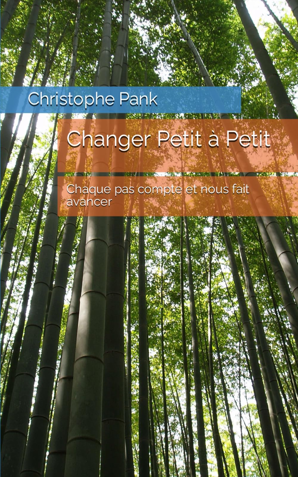 Changer Petit à Petit: Chaque pas compte et nous fait avancer book