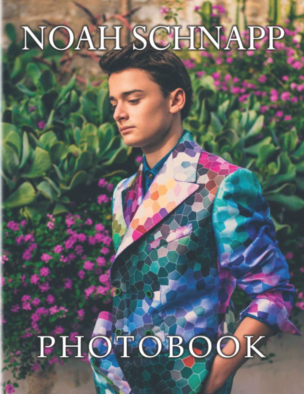 Nσαh Schnαpp Photobook: Will Byers Characters for FanGirls to Decor as Gifts | Series Stranger Things For Anyone To Love for Relaxation book
