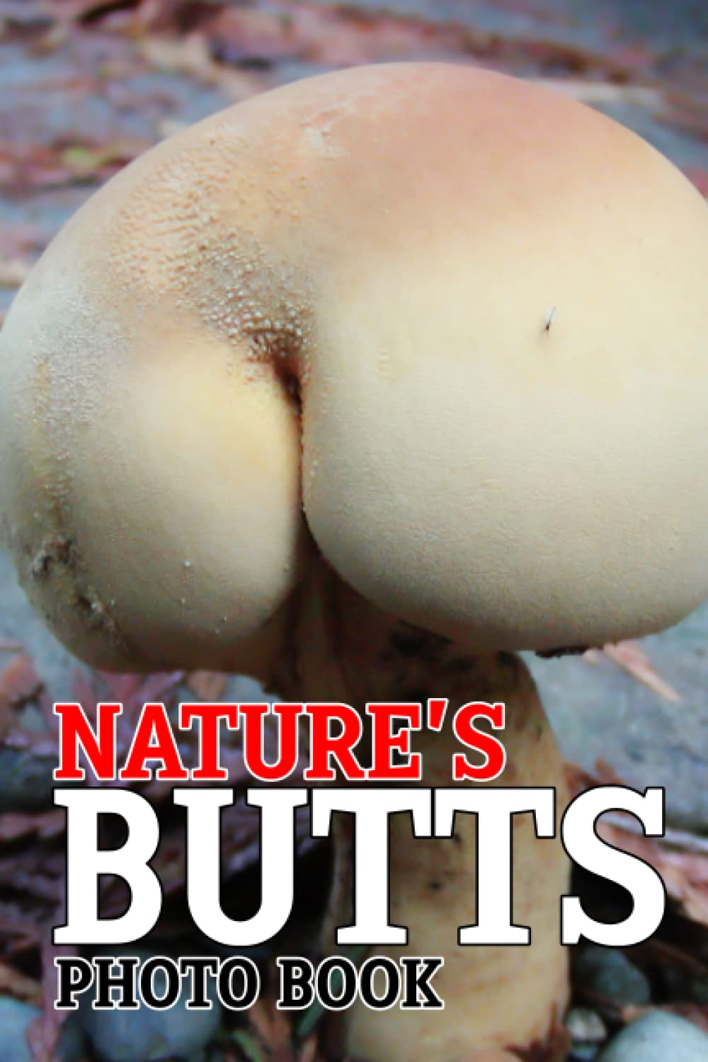 Nature's Butts Photo Book: Things That Look Like Ass Images With Impressive Pictures For All Ages To Relieve Stress And Get Creative | Home & Office Decor Mathematics