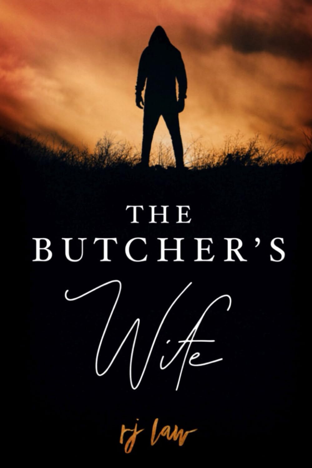 The Butcher's Wife book