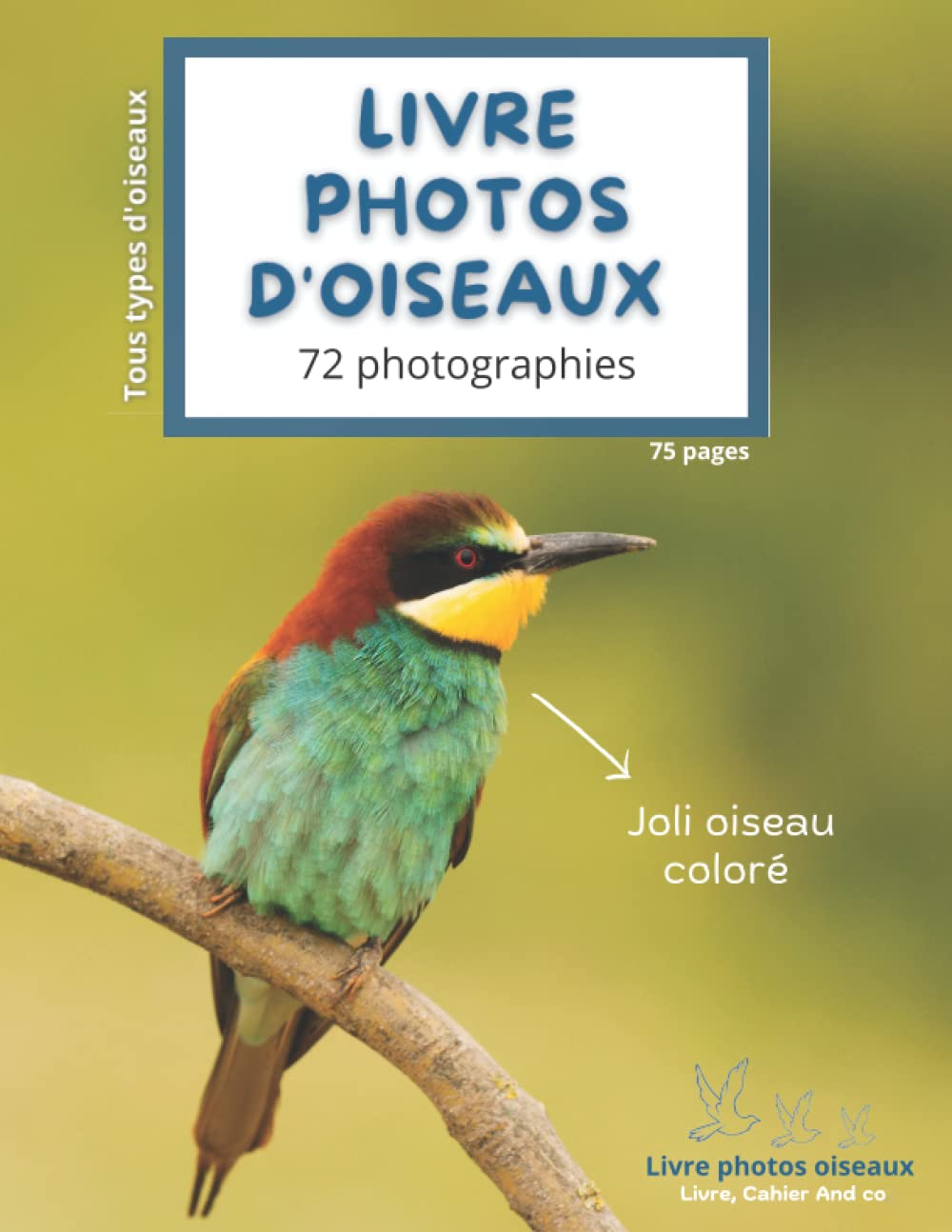 Livre photo oiseaux: 72 photographies d'oiseaux différents book