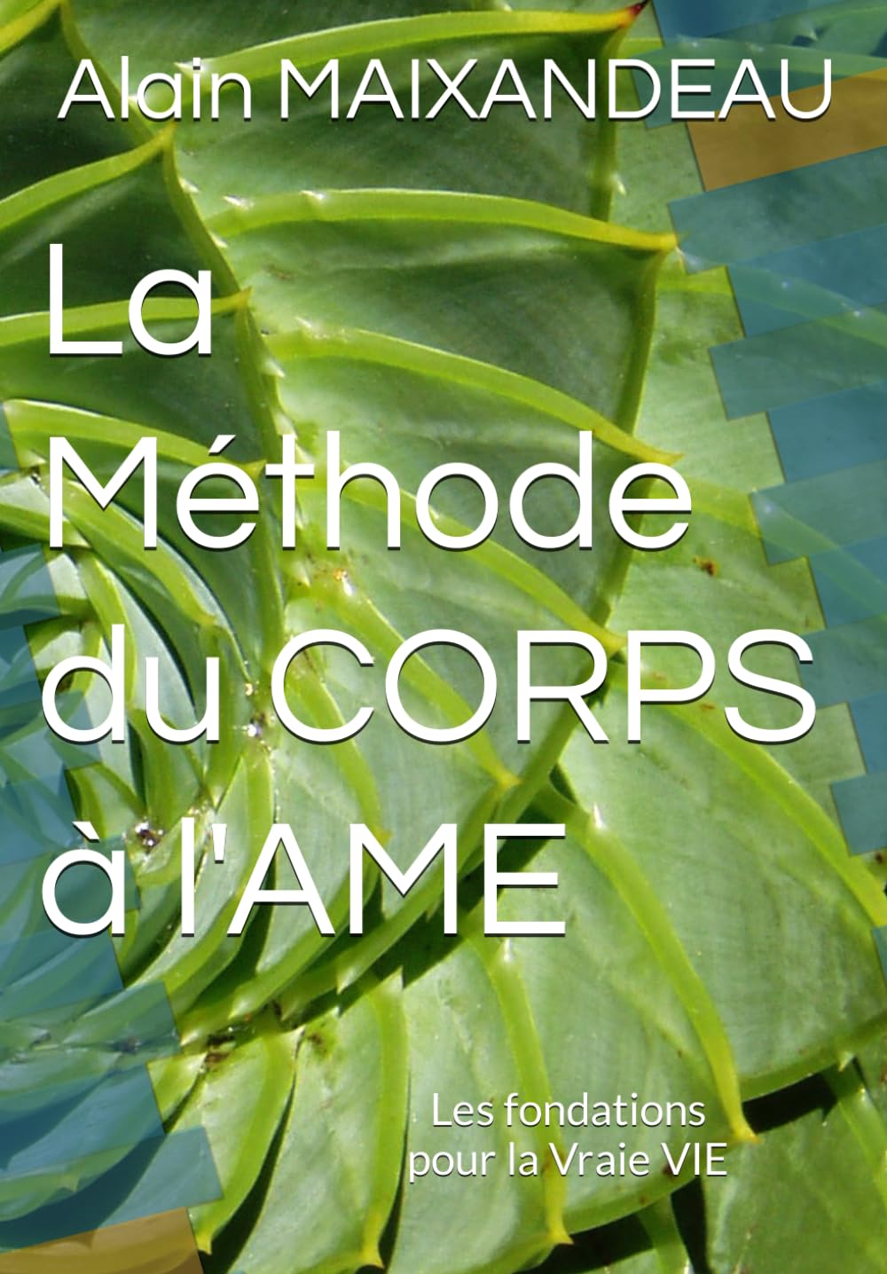 La Méthode du CORPS à l'AME: Les fondations pour la Vraie VIE book