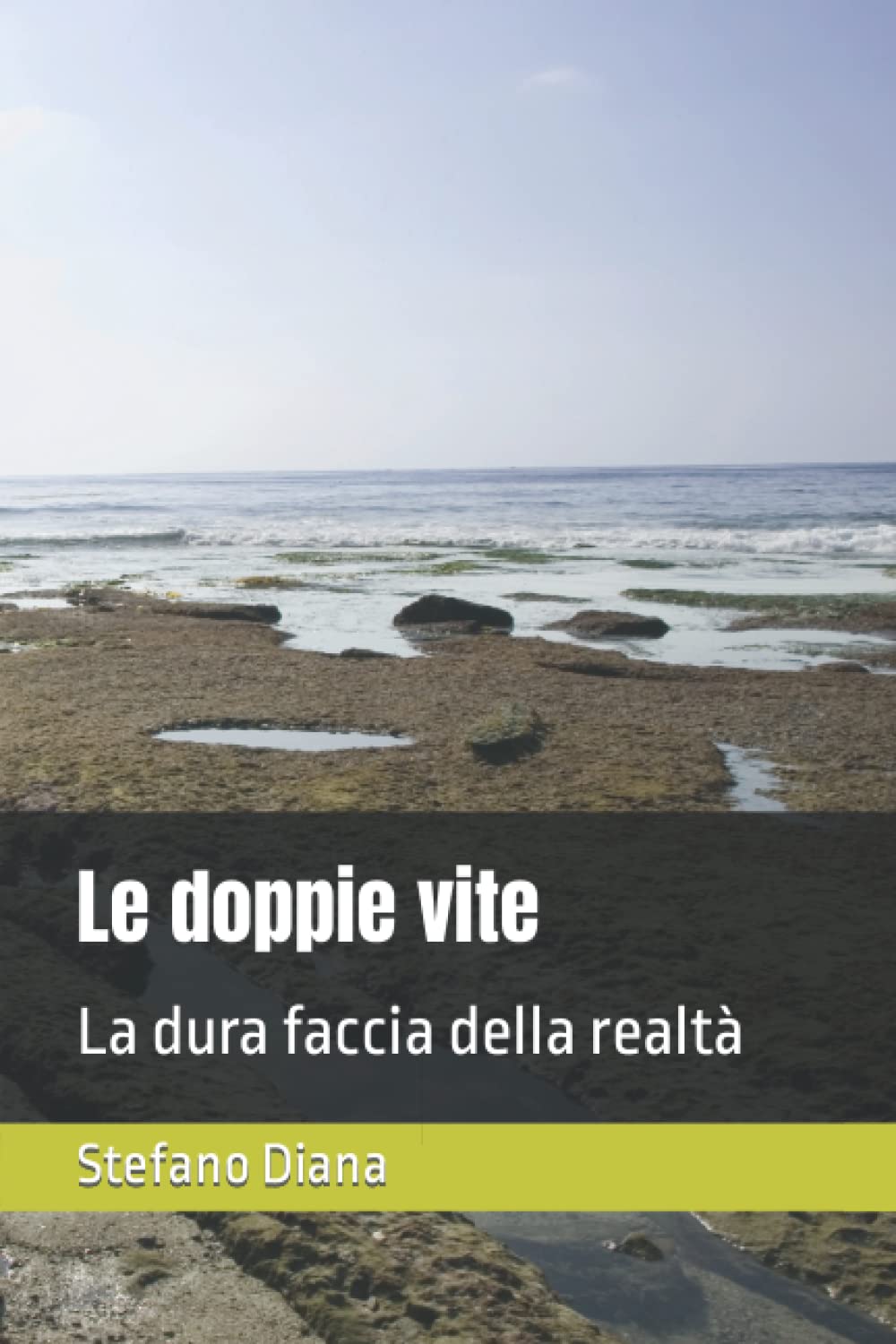 Le doppie vite: La dura faccia della realtà book