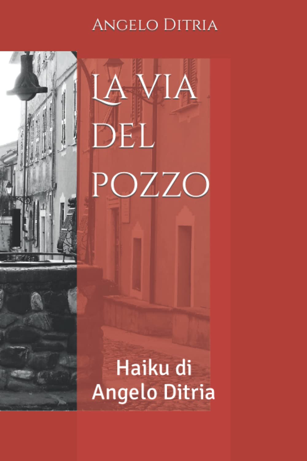 La via del pozzo: Haiku di Angelo Ditria book