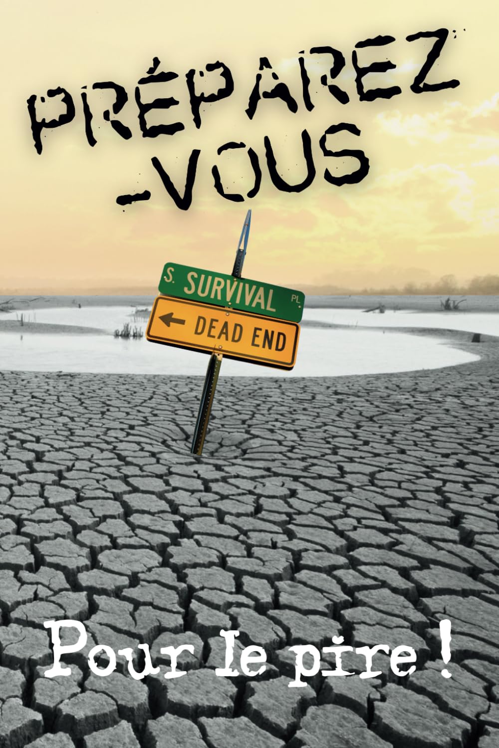 Préparez-Vous 2025-2028: Survivre Devant l'Effondrement Économique | 150 pages | Listes de Matériels et Astuces | Grand Reset | Catastrophes Naturelles | SHTF | book