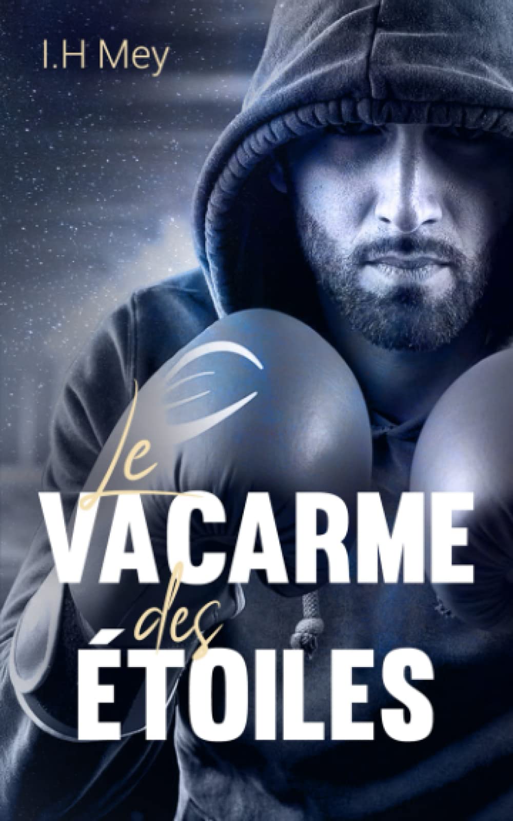 Le vacarme des étoiles book