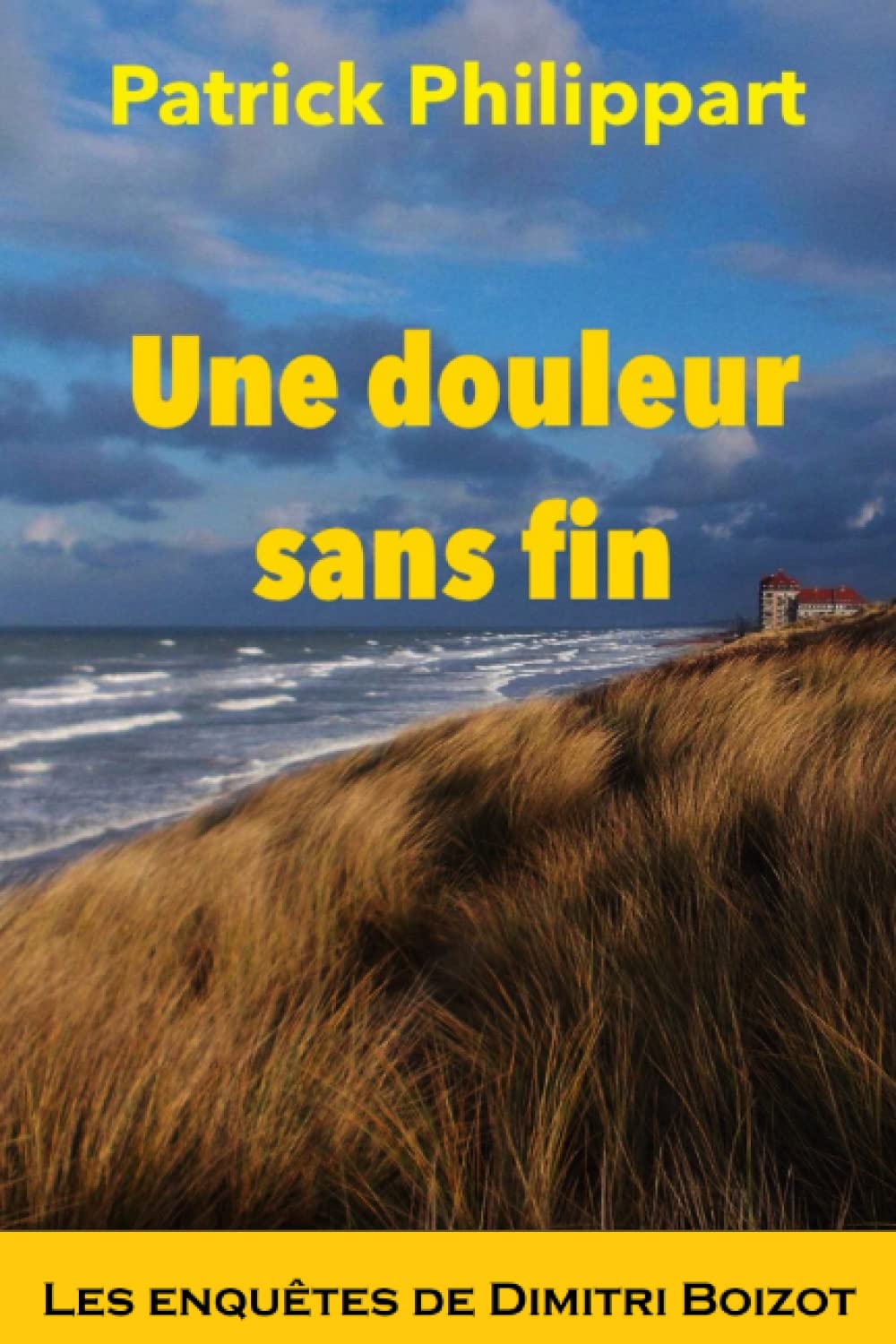 Une douleur sans fin (Les enquêtes de Dimitri Boizot) Contemporary literature