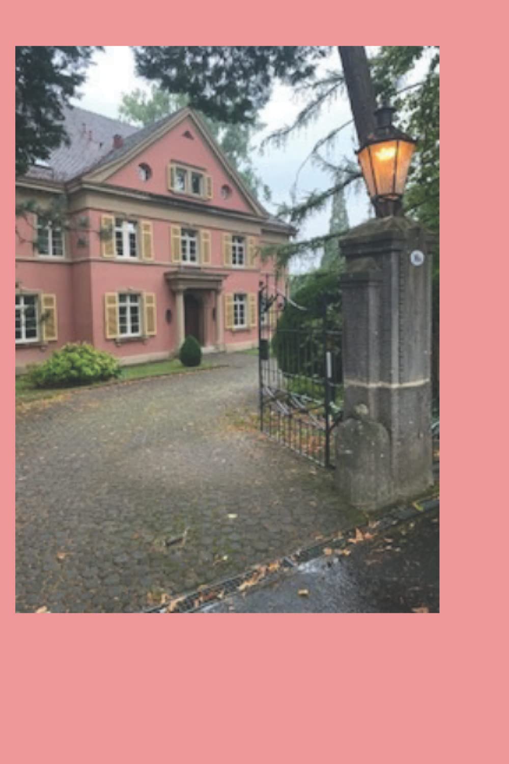 Froschprinz zum Küssen gesucht: Schloss vorhanden Contemporary Romance