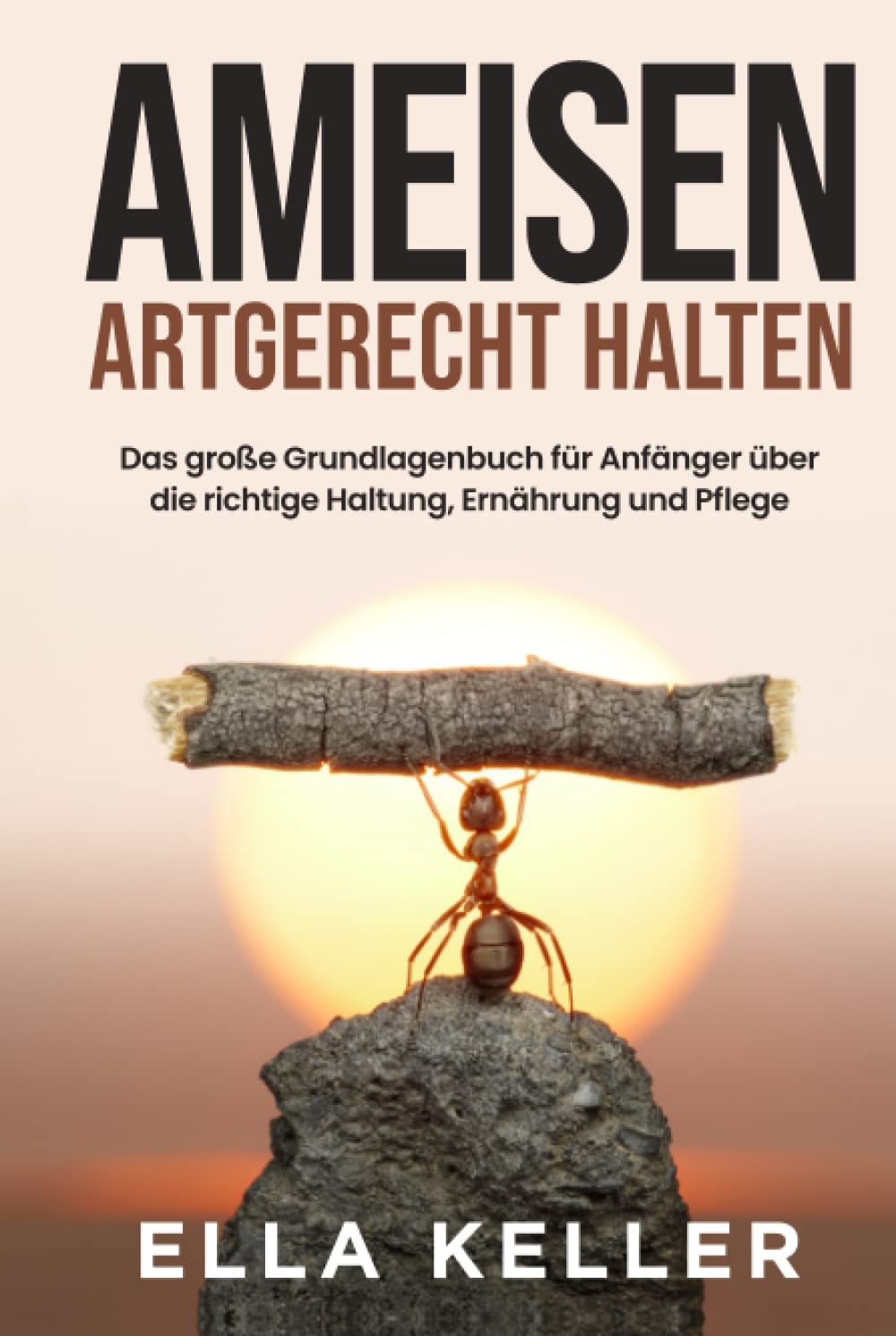 Ameisen artgerecht halten: Das große Grundlagenbuch für Anfänger über die richtige Haltung, Ernährung und Pflege Pets