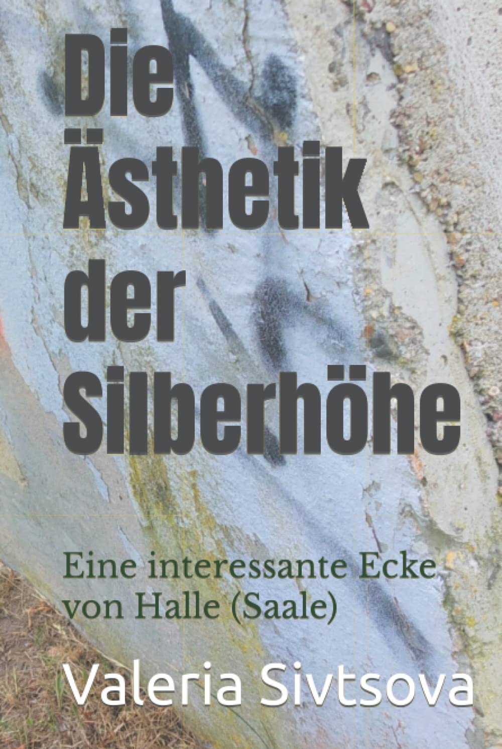 Die Ästhetik der Silberhöhe: Eine interessante Ecke von Halle (Saale) Contemporary literature