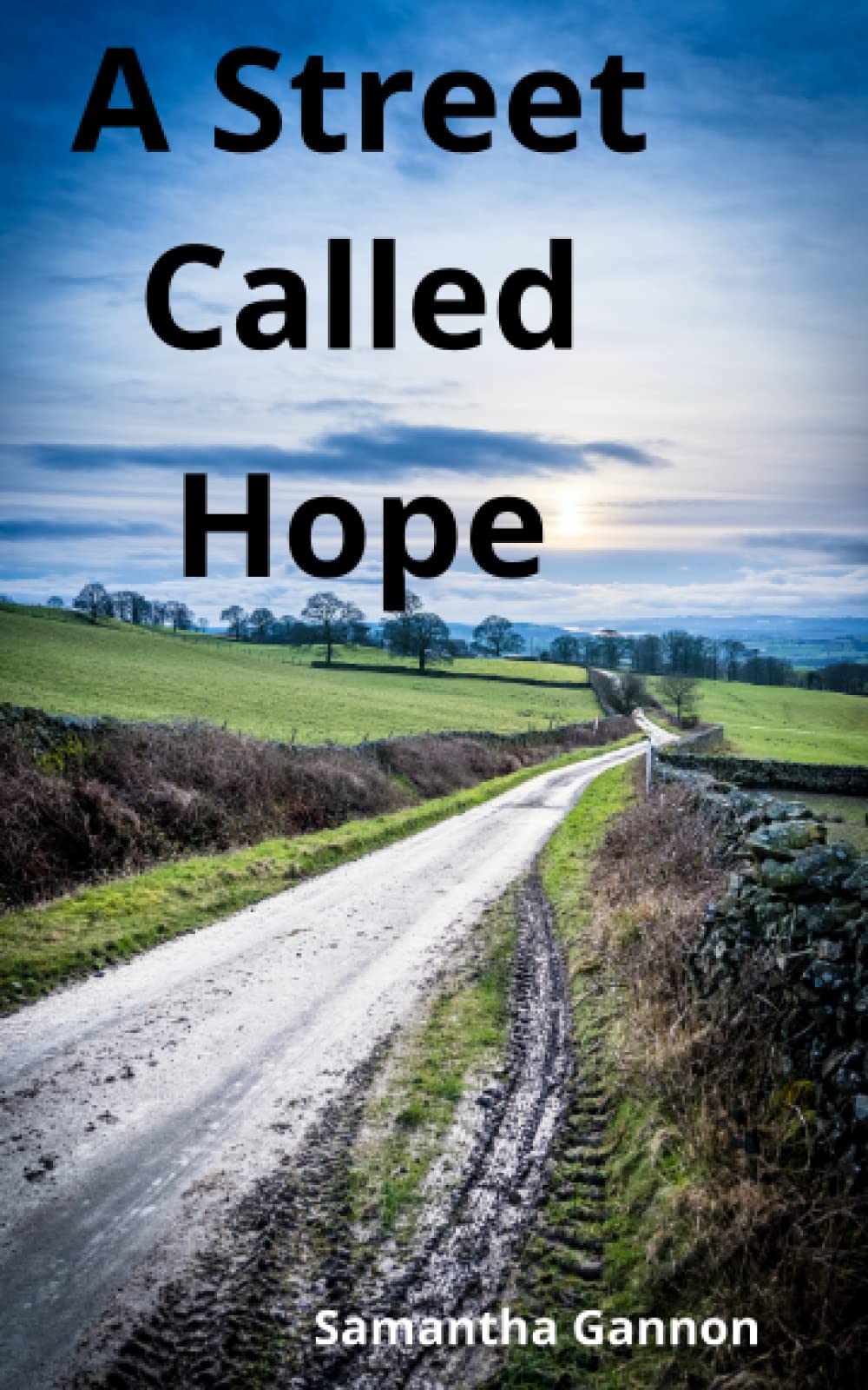 A Street Called Hope: A gentle heartwarming novella Contemporary literature