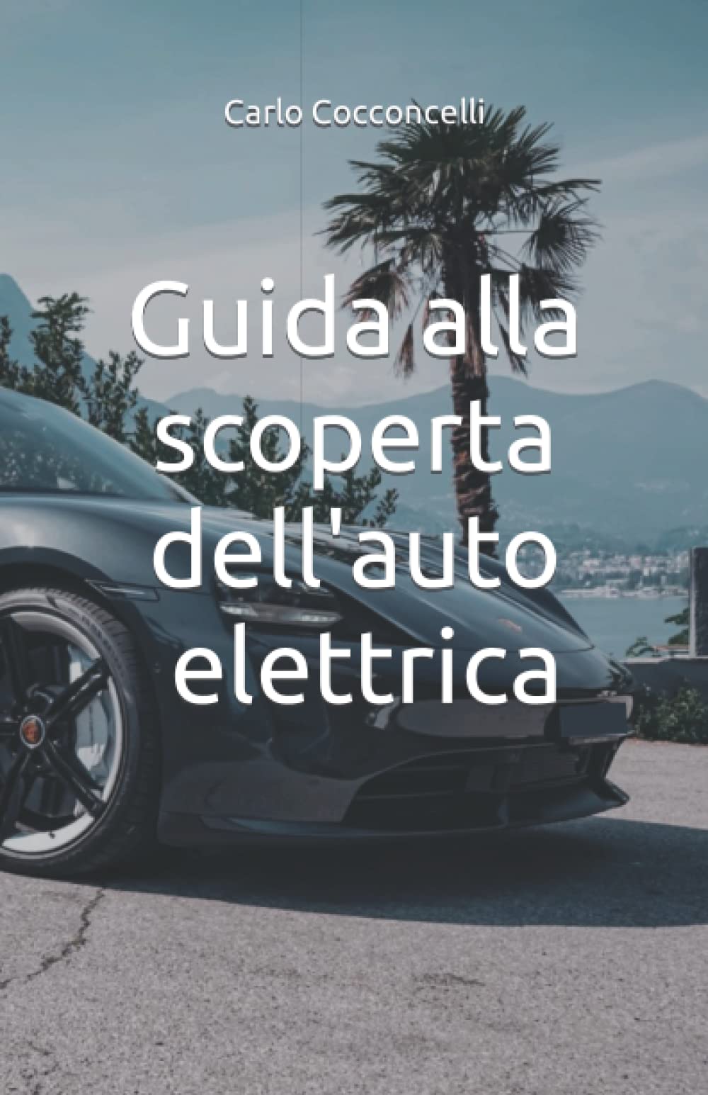 Guida alla scoperta dell'auto elettrica book