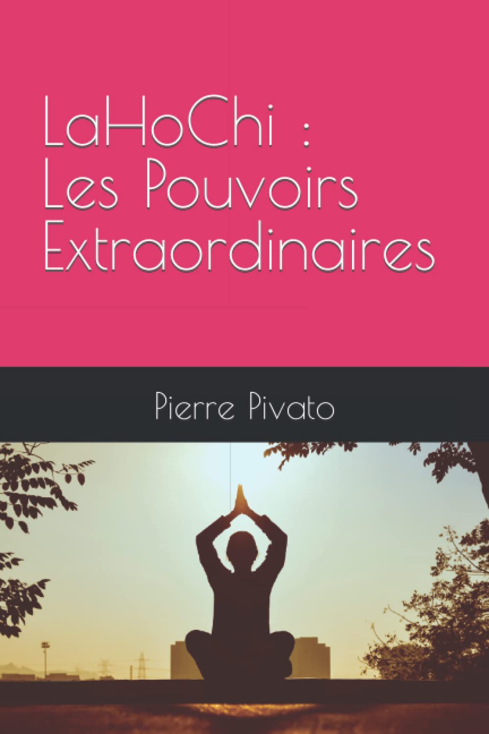 LaHoChi : Les Pouvoirs Extraordinaires book