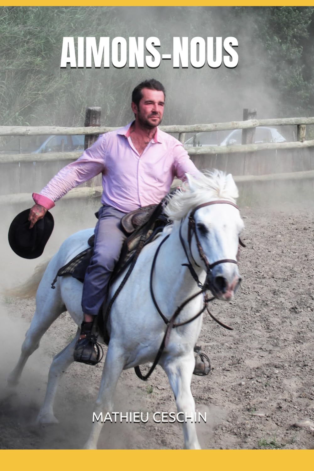 AIMONS-NOUS: Ou comment deux hommes que tout opposait vivent la plus belle des aventures book