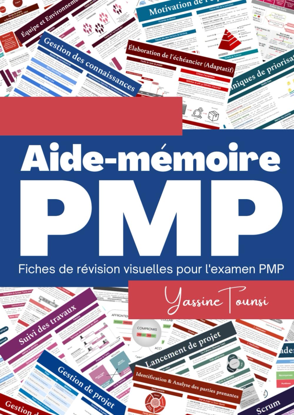 Aide-mémoire PMP: Fiches de révision visuelles pour une préparation rapide à l'examen PMP Business, Finance & Career