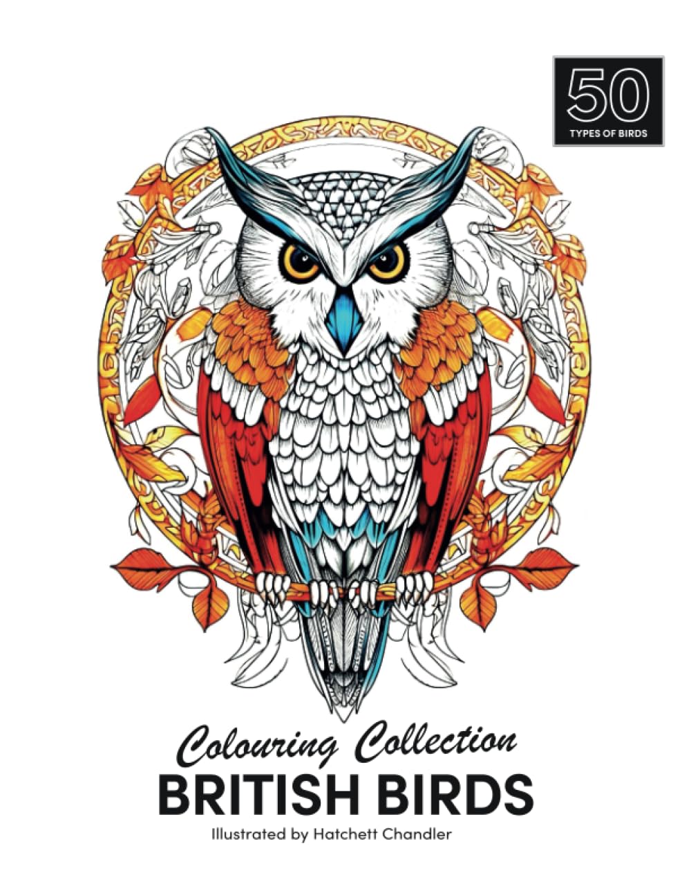 British Birds Colouring Book: 50 Beautiful Designs for all ages Hobbies & Crafts