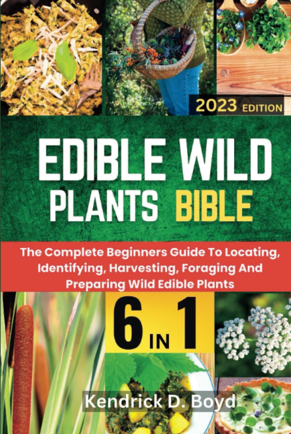 Edible Wild Plants Bible : The Complete Beginners Guide To Locating, Identifying, Harvesting, Foraging And Preparing Wild Edible Plants Mathematics