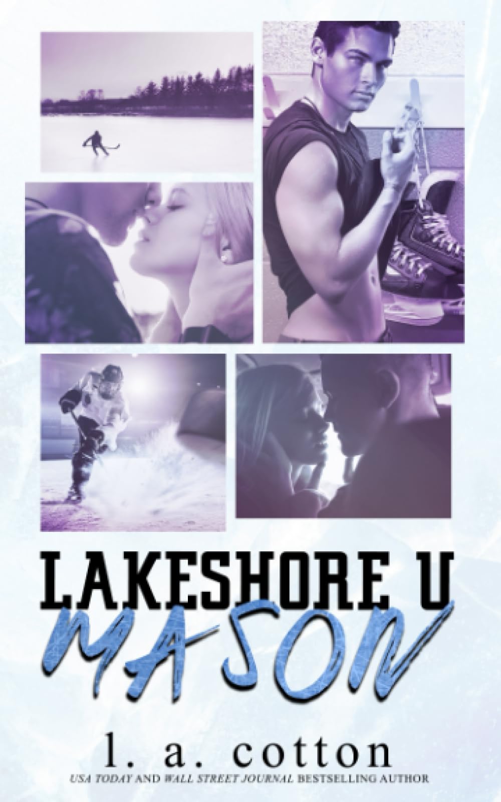 Lakeshore U - MASON (Serie Lakeshore U) New Adult