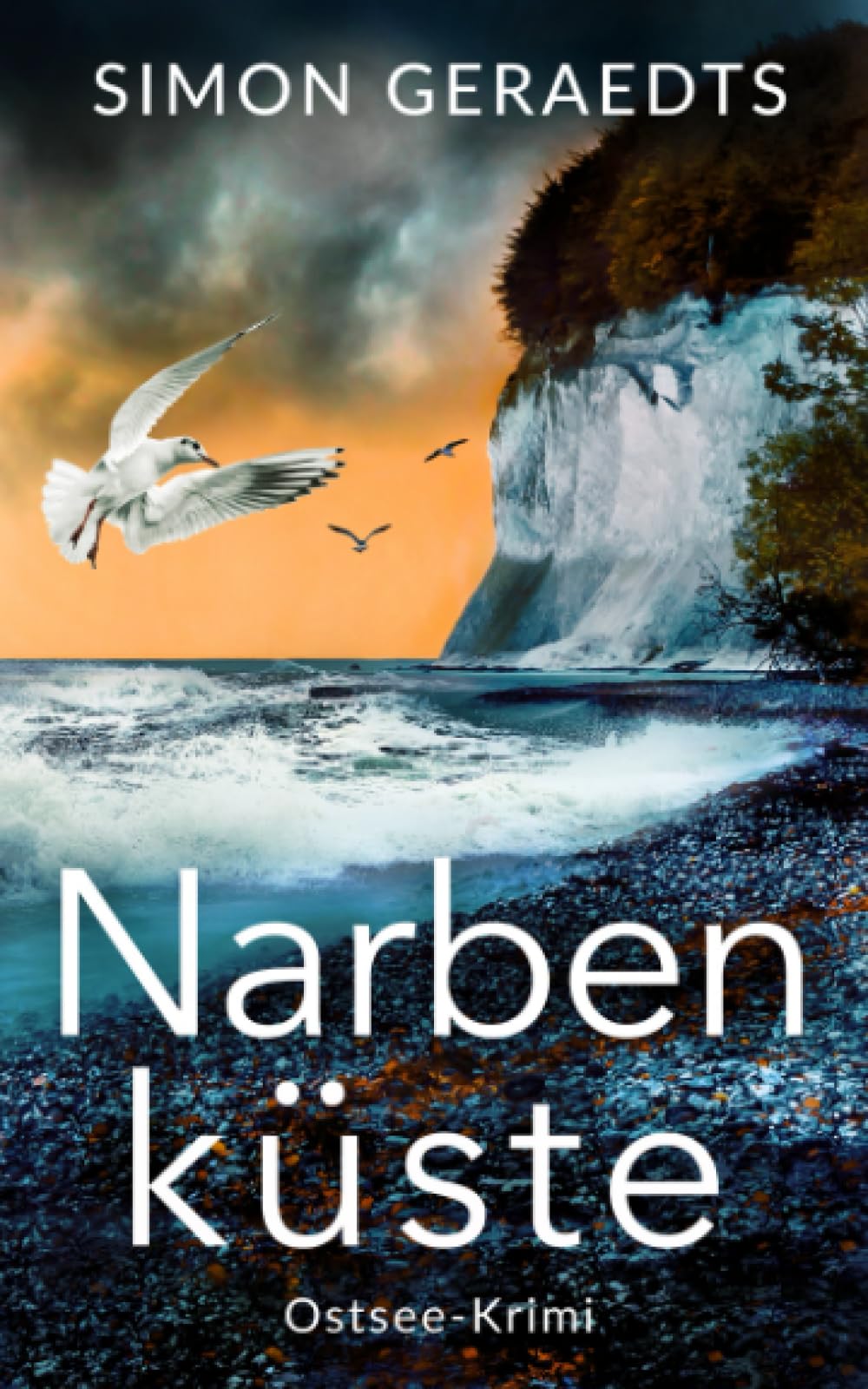 Narbenküste (Sophie Jensen ermittelt, Band 6) Detective & CSI