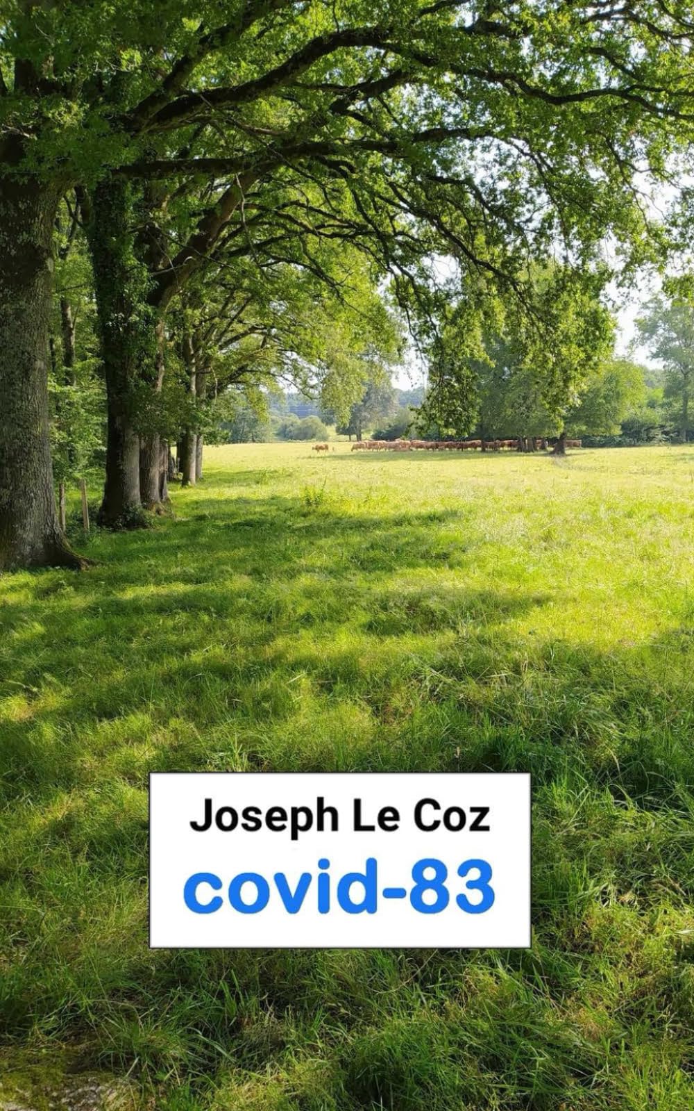 Covid-83: Journal intime (janvier 2020 - juillet 2022) book