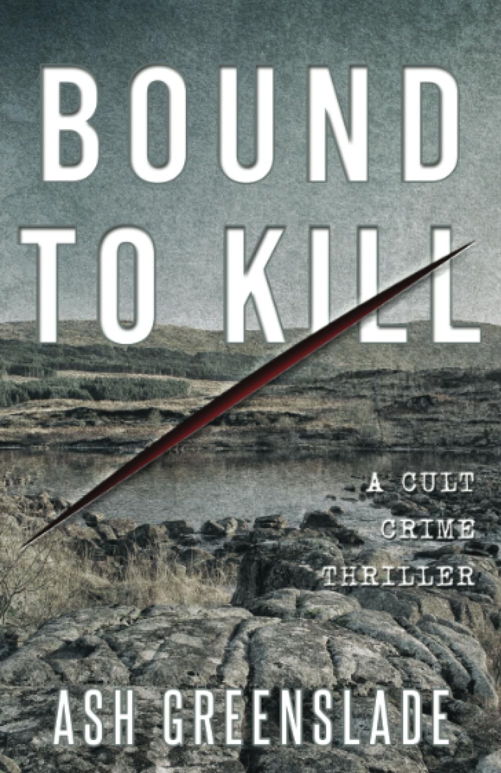 BOUND TO KILL: A cult crime thriller book