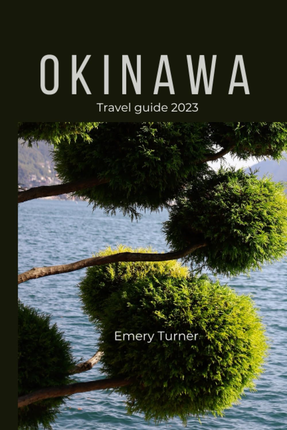Okinawa Travel Guide 2023: Experience Okinawa like a Local: Insider Tips, Itinerary, and Top Recommendations for a Memorable Trip Travel Guides