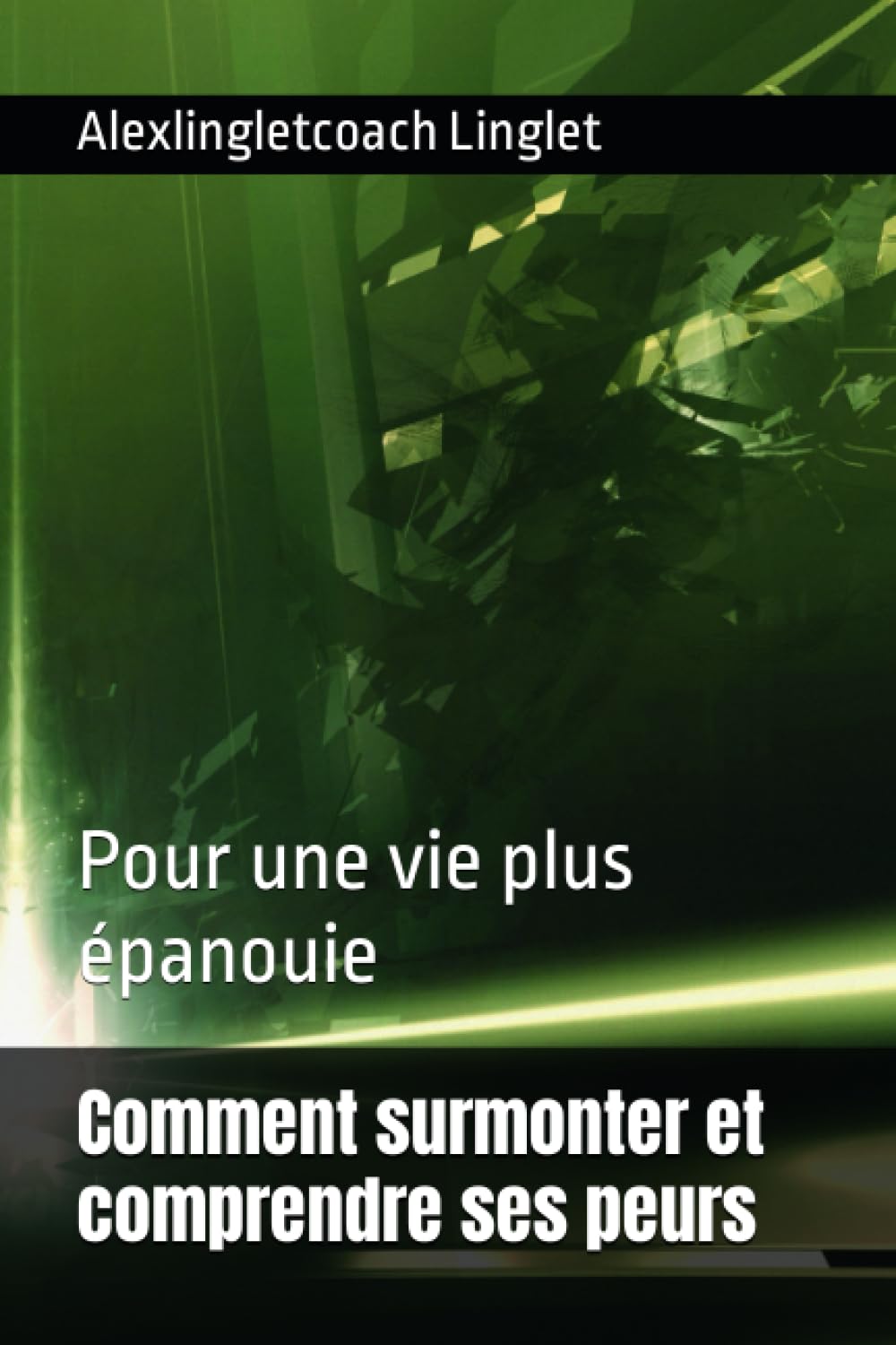 Comment surmonter et comprendre ses peurs: Pour une vie plus épanouie book