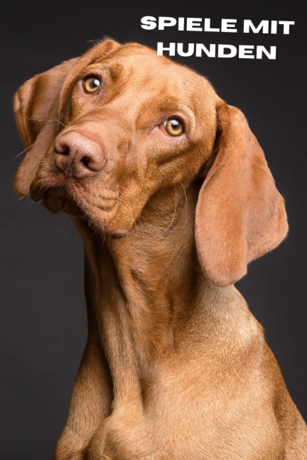 Spiele mit Hunden: Ein Leitfaden für Spaß, Bindung und Gesundheit Pets