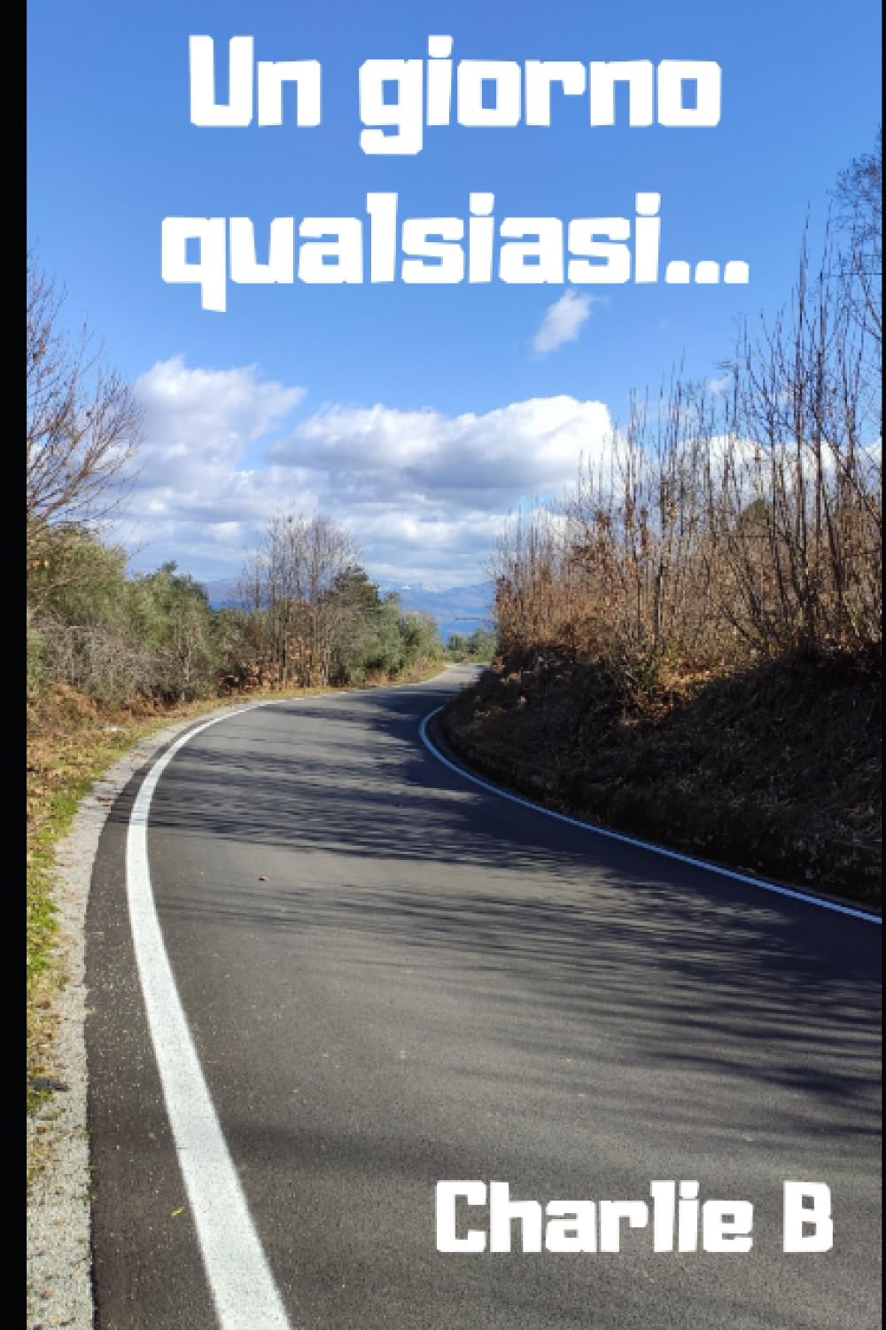 Un giorno qualsiasi book