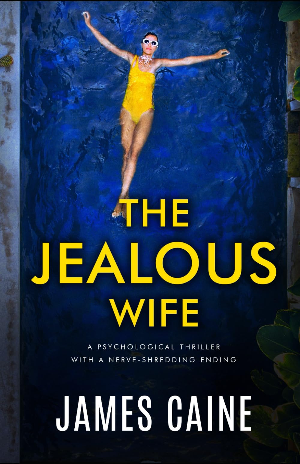 The Jealous Wife: A psychological thriller with a nerve-shredding ending Contemporary literature