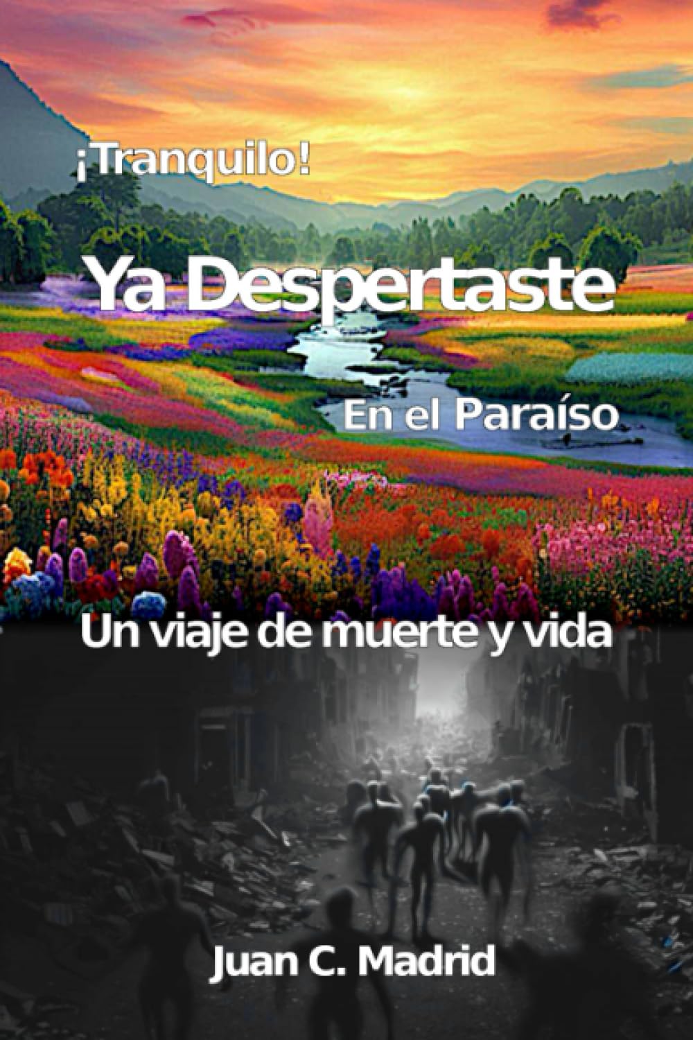 Tranquilo, Ya despertaste en el paraíso: Un viaje de muerte y vida book