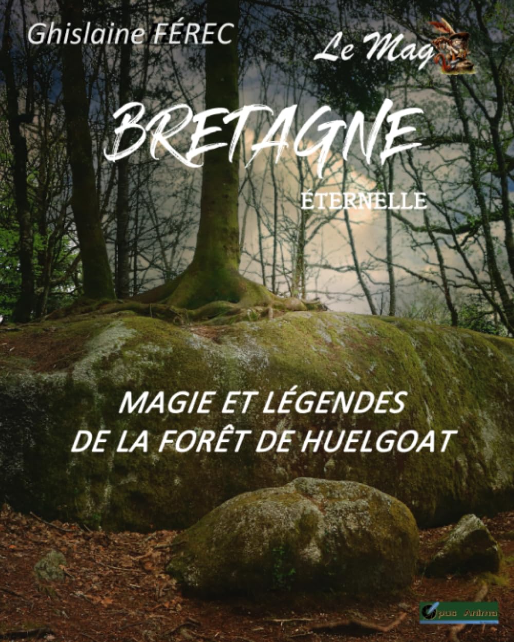 BRETAGNE ETERNELLE LE MAG N°2: Magie et légendes de la forêt de Huelgoat book
